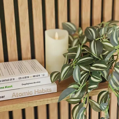 Apartmán Urban Retreat With Tampa View *