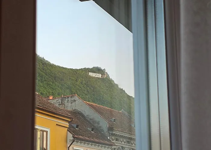 Urban Retreat With Tampa View *