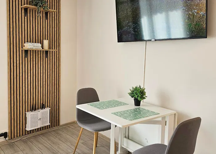 Urban Retreat With Tampa View Apartment *